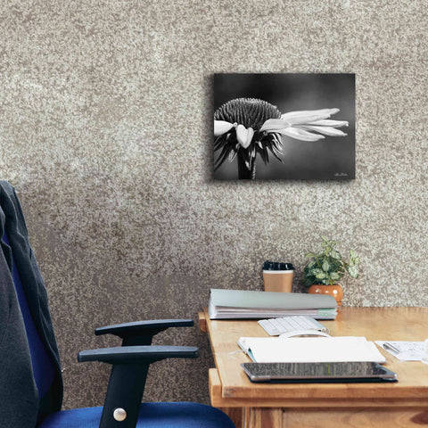 Image of 'Coneflower' by Lori Deiter, Canvas Wall Art,16 x 12