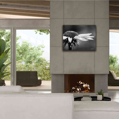 Image of 'Coneflower' by Lori Deiter, Canvas Wall Art,34 x 26