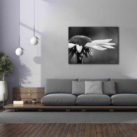 Image of 'Coneflower' by Lori Deiter, Canvas Wall Art,54 x 40