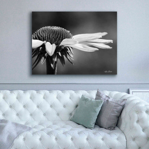 Image of 'Coneflower' by Lori Deiter, Canvas Wall Art,54 x 40