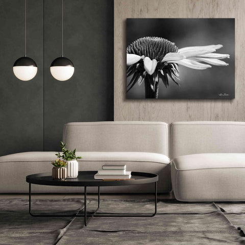 Image of 'Coneflower' by Lori Deiter, Canvas Wall Art,54 x 40
