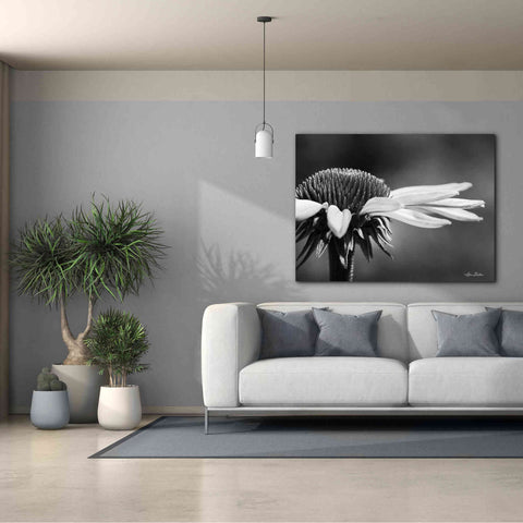 Image of 'Coneflower' by Lori Deiter, Canvas Wall Art,54 x 40