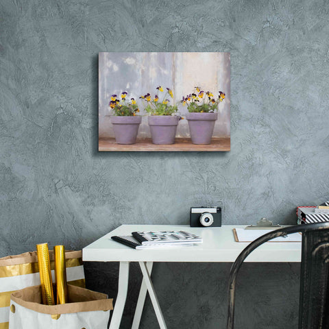 Image of 'Pansy Still Life I' by Lori Deiter, Canvas Wall Art,16 x 12