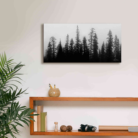 Image of 'Rocky's Trees' by Lori Deiter, Canvas Wall Art,24 x 12