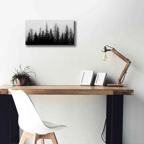 Image of 'Rocky's Trees' by Lori Deiter, Canvas Wall Art,24 x 12