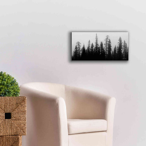 Image of 'Rocky's Trees' by Lori Deiter, Canvas Wall Art,24 x 12