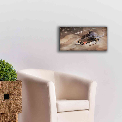 Image of 'Freedom Fighter' by Lori Deiter, Canvas Wall Art,24 x 12