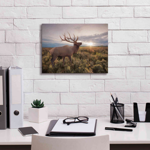 Image of 'Jackson Sunrise with Elk' by Lori Deiter, Canvas Wall Art,16 x 12