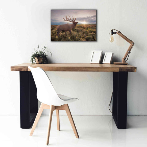 Image of 'Jackson Sunrise with Elk' by Lori Deiter, Canvas Wall Art,26 x 18