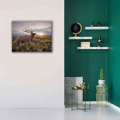 Image of 'Jackson Sunrise with Elk' by Lori Deiter, Canvas Wall Art,34 x 26