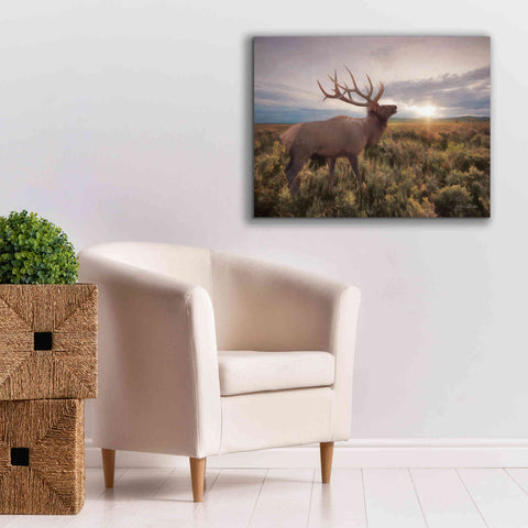 Image of 'Jackson Sunrise with Elk' by Lori Deiter, Canvas Wall Art,34 x 26