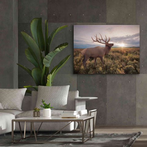 Image of 'Jackson Sunrise with Elk' by Lori Deiter, Canvas Wall Art,54 x 40