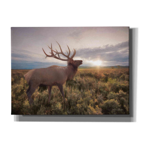 Image of 'Jackson Sunrise with Elk' by Lori Deiter, Canvas Wall Art