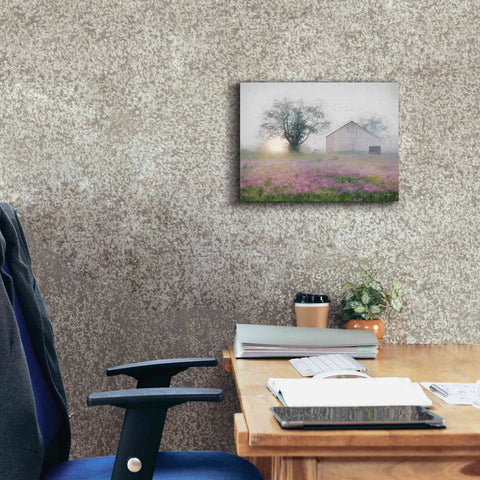 Image of 'Summer Sunrise' by Lori Deiter, Canvas Wall Art,16 x 12