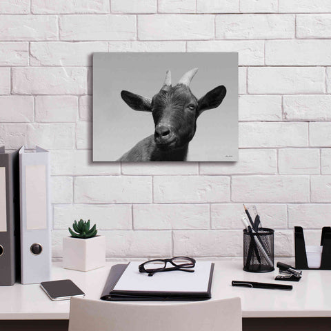 Image of 'Lake Tobias Goat I' by Lori Deiter, Canvas Wall Art,16 x 12