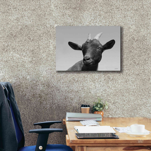 Image of 'Lake Tobias Goat I' by Lori Deiter, Canvas Wall Art,26 x 18