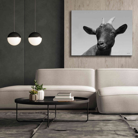 Image of 'Lake Tobias Goat I' by Lori Deiter, Canvas Wall Art,54 x 40