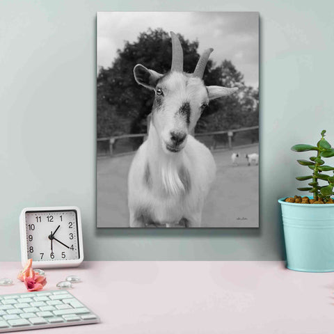 Image of 'Lake Tobias Goat II' by Lori Deiter, Canvas Wall Art,12 x 16