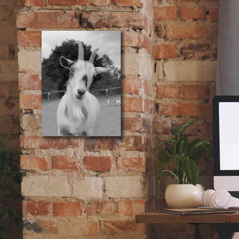Image of 'Lake Tobias Goat II' by Lori Deiter, Canvas Wall Art,12 x 16