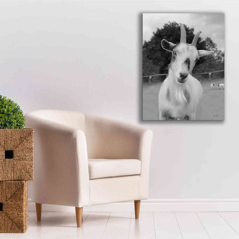 Image of 'Lake Tobias Goat II' by Lori Deiter, Canvas Wall Art,26 x 34