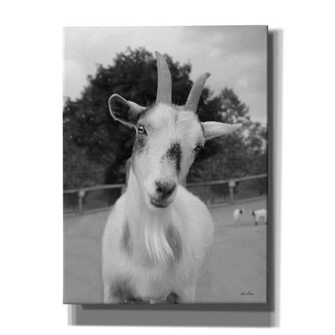 Image of 'Lake Tobias Goat II' by Lori Deiter, Canvas Wall Art