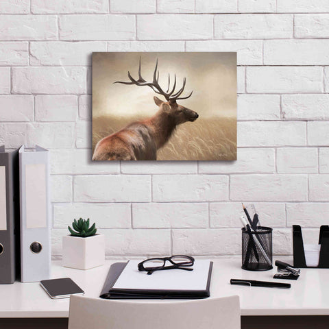 Image of 'Elk in the Grass' by Lori Deiter, Canvas Wall Art,16 x 12