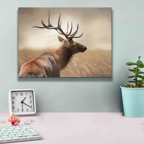 Image of 'Elk in the Grass' by Lori Deiter, Canvas Wall Art,16 x 12
