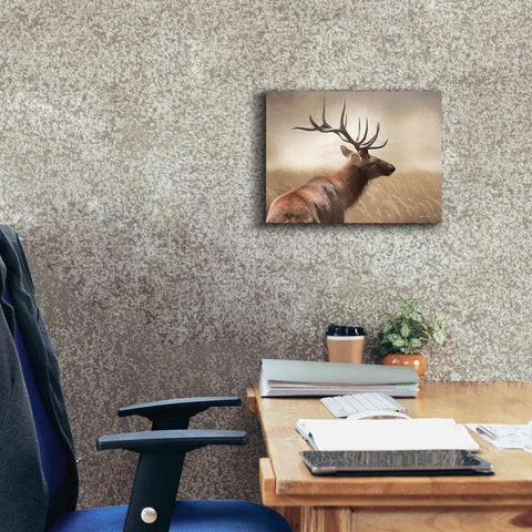 Image of 'Elk in the Grass' by Lori Deiter, Canvas Wall Art,16 x 12