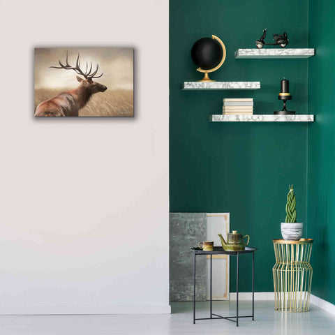 Image of 'Elk in the Grass' by Lori Deiter, Canvas Wall Art,26 x 18
