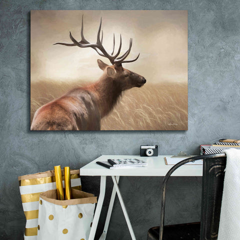 Image of 'Elk in the Grass' by Lori Deiter, Canvas Wall Art,34 x 26