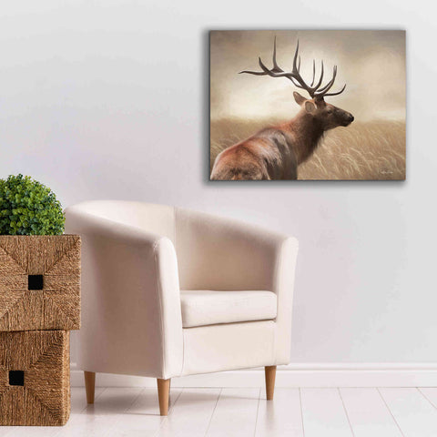 Image of 'Elk in the Grass' by Lori Deiter, Canvas Wall Art,34 x 26