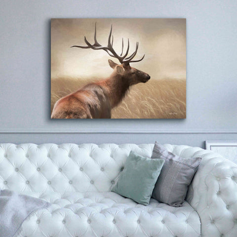 Image of 'Elk in the Grass' by Lori Deiter, Canvas Wall Art,54 x 40