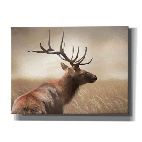 Image of 'Elk in the Grass' by Lori Deiter, Canvas Wall Art