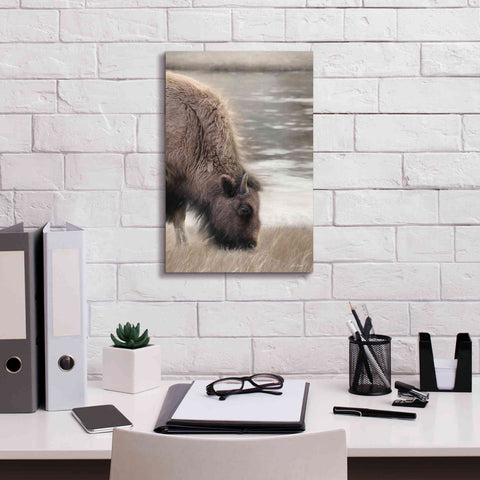 Image of 'Yellowstone Buffalo' by Lori Deiter, Canvas Wall Art,12 x 18
