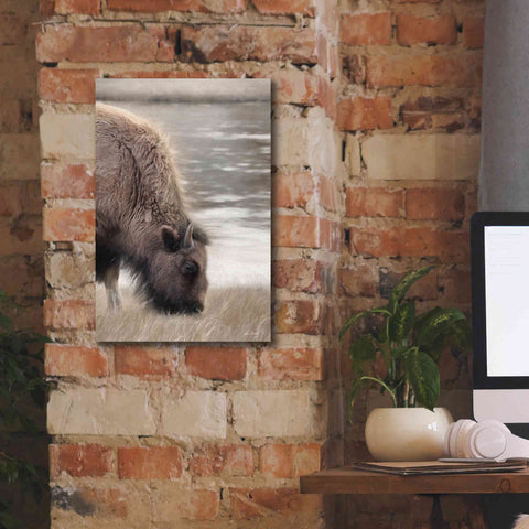 Image of 'Yellowstone Buffalo' by Lori Deiter, Canvas Wall Art,12 x 18