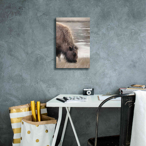 Image of 'Yellowstone Buffalo' by Lori Deiter, Canvas Wall Art,12 x 18