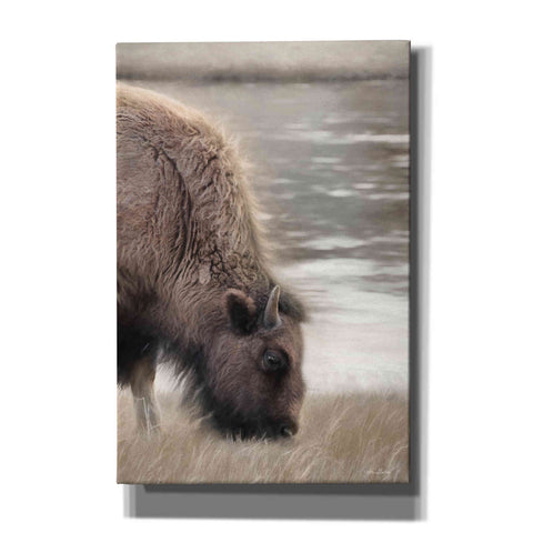 Image of 'Yellowstone Buffalo' by Lori Deiter, Canvas Wall Art