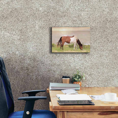 Image of 'Grazing on Assateague Island' by Lori Deiter, Canvas Wall Art,18 x 12