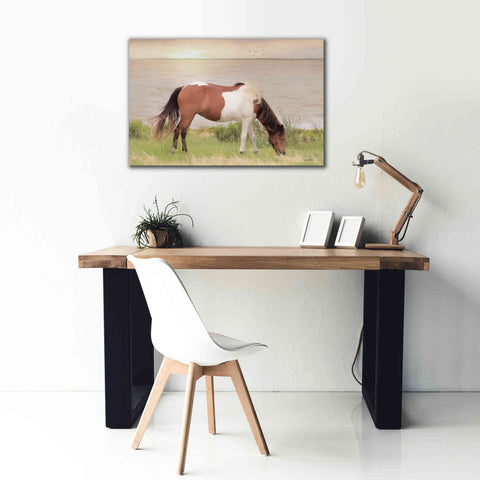 Image of 'Grazing on Assateague Island' by Lori Deiter, Canvas Wall Art,40 x 26