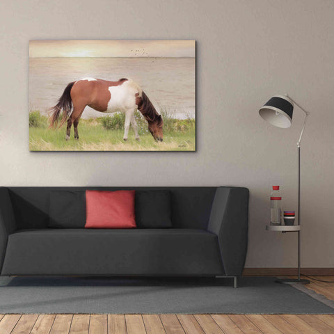 Image of 'Grazing on Assateague Island' by Lori Deiter, Canvas Wall Art,60 x 40