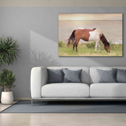 Image of 'Grazing on Assateague Island' by Lori Deiter, Canvas Wall Art,60 x 40
