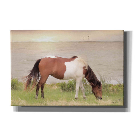 Image of 'Grazing on Assateague Island' by Lori Deiter, Canvas Wall Art