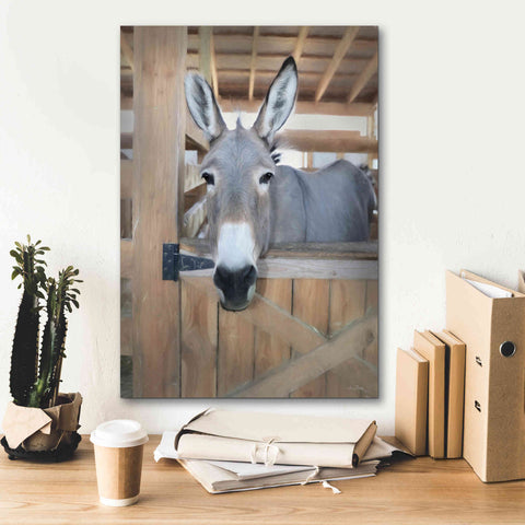 Image of 'Curious Donkey' by Lori Deiter, Canvas Wall Art,18 x 26