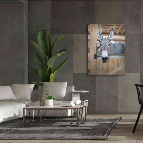 Image of 'Curious Donkey' by Lori Deiter, Canvas Wall Art,40 x 54