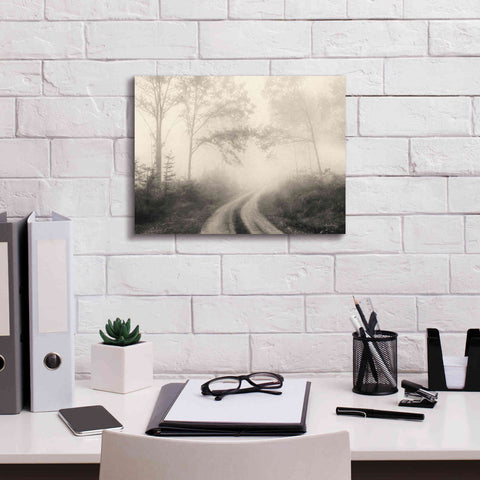 Image of 'Bleached Woodlands' by Lori Deiter, Canvas Wall Art,16 x 12