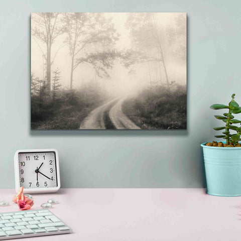 Image of 'Bleached Woodlands' by Lori Deiter, Canvas Wall Art,16 x 12