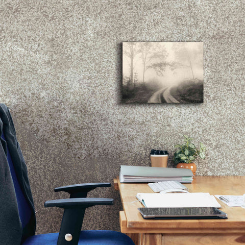 Image of 'Bleached Woodlands' by Lori Deiter, Canvas Wall Art,16 x 12