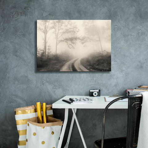 Image of 'Bleached Woodlands' by Lori Deiter, Canvas Wall Art,26 x 18