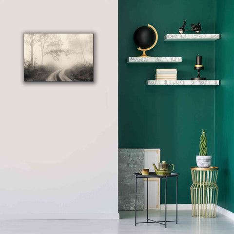 Image of 'Bleached Woodlands' by Lori Deiter, Canvas Wall Art,26 x 18