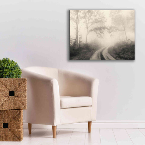 Image of 'Bleached Woodlands' by Lori Deiter, Canvas Wall Art,34 x 26